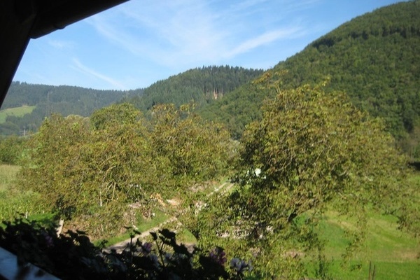 Ausblick vom Balkon