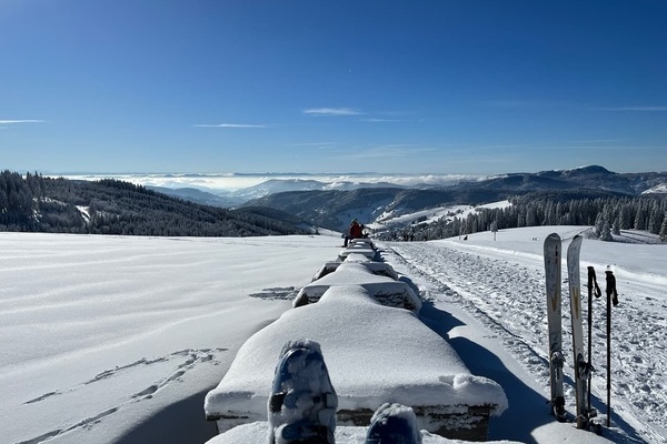 Baumliege - die lngste Bank der Welt - auf dem Stbenwasen im Winter - Skitourenziel oder Pause auf der Loipe