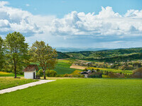 Feldkapelle Oberalpfen (Bildnachweis: Mit freundlicher Genehmigung der Stadtverwaltung Waldshut-Tiengen (Foto: Foto&Design)) Feldkapelle Oberalpfen (Bildnachweis: Mit freundlicher Genehmigung der Stadtverwaltung Waldshut-Tiengen (Foto: Foto&Design))