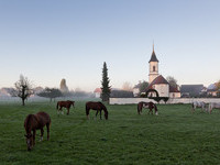 (Bildnachweis: Mit Freundlicher Genehmigung der Gemeinde Neuried) (Bildnachweis: Mit Freundlicher Genehmigung der Gemeinde Neuried)