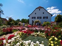  (Bildnachweis: Mit freundlicher Genehmigung der Tourist Information" Am Roseneck" Weilheim)