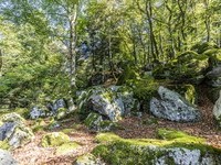 Jungholz Solfelsen im Hotzenwald (Bildnachweis: Mit freundlicher Genehmigung der Hotzenwald Tourismus GmbH) Jungholz Solfelsen im Hotzenwald (Bildnachweis: Mit freundlicher Genehmigung der Hotzenwald Tourismus GmbH)