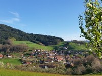  (Bildnachweis: Mit freundlicher Genehmigung der Tourist-Information, 77889 Seebach, www.seebach.de )