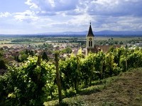 (Bildnachweis: Mit freundlicher Genehmigung der Touristikinformation Auggen / Winzerkeller Auggener Sch�f)
