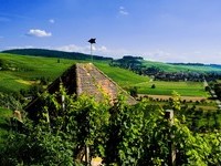  (Bildnachweis: Mit freundlicher Genehmigung der Touristikinformation Auggen / Winzerkeller Auggener Sch�f)