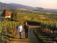 (Bildnachweis: Mit freundlicher Genehmigung der Kur und Bäder GmbH Bad Krozingen) (Bildnachweis: Mit freundlicher Genehmigung der Kur und Bäder GmbH Bad Krozingen)