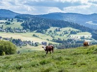  (Bildnachweis: Mit freundlicher Genehmigung Tourist Information Bernau)