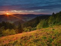  (Bildnachweis: Mit freundlicher Genehmigung Tourist Information Bernau)