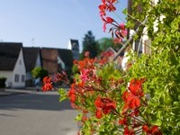 (Bildnachweis: Gemeinde Buggingen) (Bildnachweis: Gemeinde Buggingen)