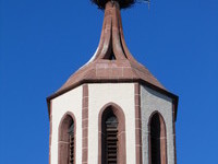 Mit freundlicher Genehmigung der Stadt Denzlingen (Bildnachweis: Mit freundlicher Genehmigung der Stadt Denzlingen) Mit freundlicher Genehmigung der Stadt Denzlingen (Bildnachweis: Mit freundlicher Genehmigung der Stadt Denzlingen)