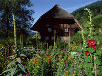 (Bildnachweis: ZweitälerLand Tourismus, Fotograf: Clemens Emmler) (Bildnachweis: ZweitälerLand Tourismus, Fotograf: Clemens Emmler)