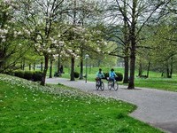 (Bildnachweis: Mit freundlicher Genehmigung der Stadt Gaggenau) (Bildnachweis: Mit freundlicher Genehmigung der Stadt Gaggenau)