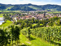  (Bildnachweis: Mit freundlicher Genehmigung der Gengenbach Kultur - und Tourismus GmbH, Fotograf Ralf Greiner)