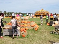  (Bildnachweis: Tourist-Information H�chenschwand, Fotograf: Erich Spiegelhalter, Klaus Hansen)