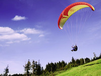 (Bildnachweis: Mit freundlicher Genehmigung der Stadt Oppenau) (Bildnachweis: Mit freundlicher Genehmigung der Stadt Oppenau)