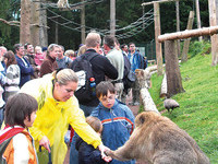  (Bildnachweis: Vogelpark-Steinen)