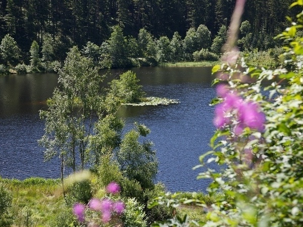 Sankenbachsee Copyright: (Ulrike Klumpp/Baiersbronn Touristik)