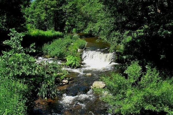 Haslachschlucht Bildnachweis: Mit freundlicher Genehmigung der Hochschwarzwald Tourismus GmbH | &copy; Haderer