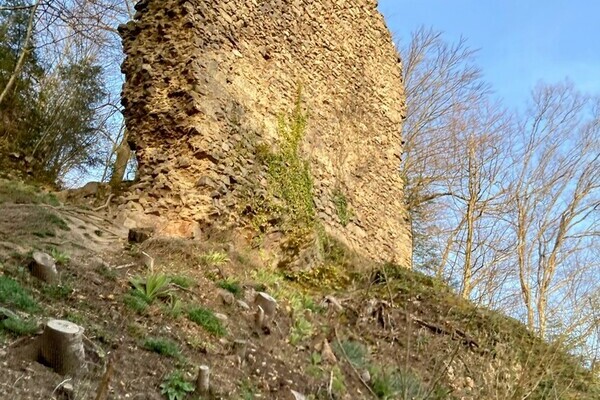 Burgruine Wiesneck Copyright: (Mit freundlicher Genehmigung von Sabine Paschold)