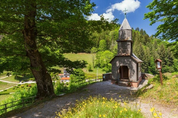 Premiumspazierwanderweg Panoramawegle Bildnachweis: Bad Peterstal-Griesbach