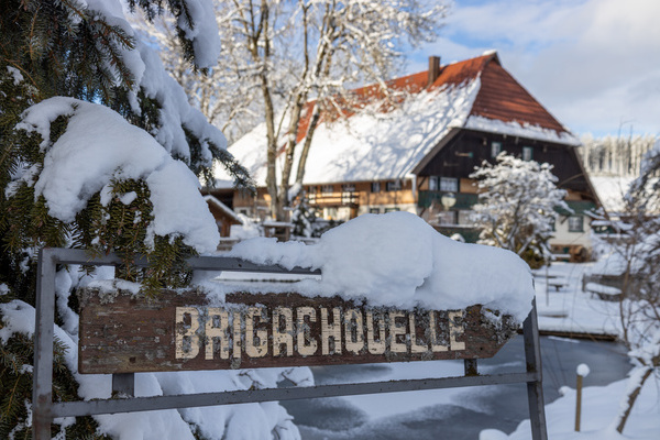 Brigachquelle Bildnachweis:  Hochschwarzwald Tourismus GmbH