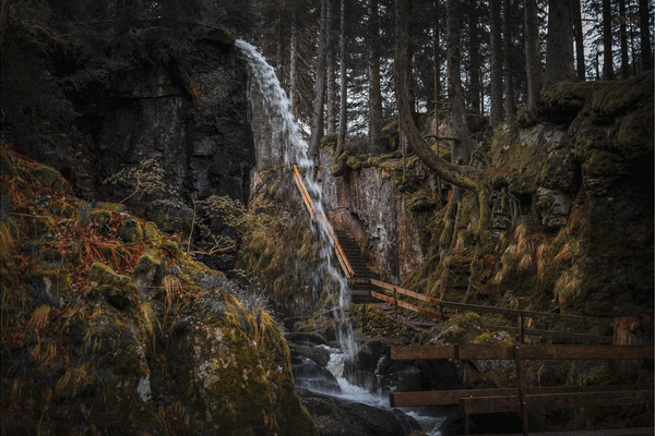 Das verborgene Portrait des großen Winterhalters - Outdoor-Escape-Erlebnis mit dem Fahrrad im Bernauer Hochtal. Bildnachweis: Mit freundlicher Genehmigung von Berggeheimnis Das verborgene Portrait des großen Winterhalters - Outdoor-Escape-Erlebnis mit dem Fahrrad im Bernauer Hochtal. Bildnachweis: Mit freundlicher Genehmigung von Berggeheimnis