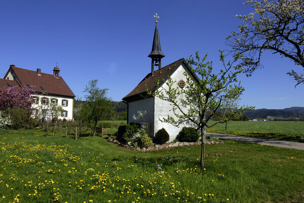 Frhling im Breitehof im Attental Bildnachweis: Tourist-Information Dreisamtal