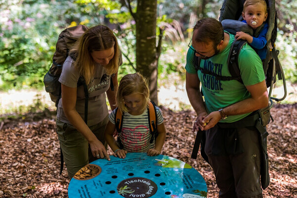 Wolfspfad Copyright: ( Tourist-Information Hchenschwand, Fotograf Klaus Hansen)