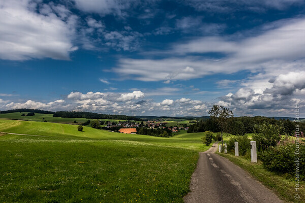 Ausblick ber Herrischried Copyright: (Hotzenwald Tourismus GmbH)