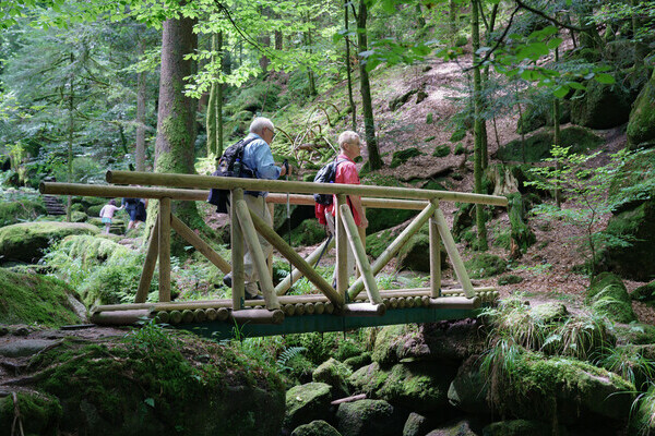 Gertelbach Wasserflle Bildnachweis: Mit freundlicher Genehmigung der Tourist-Info Bhl-Bhlertal