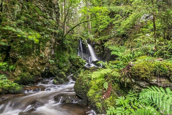 Strahlbrusch Wasserfall Bildnachweis: Herr Klaus Hansen