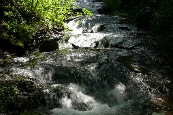 Laufenbach Wasserflle Bildnachweis: Brgermeisteramt Loffenau