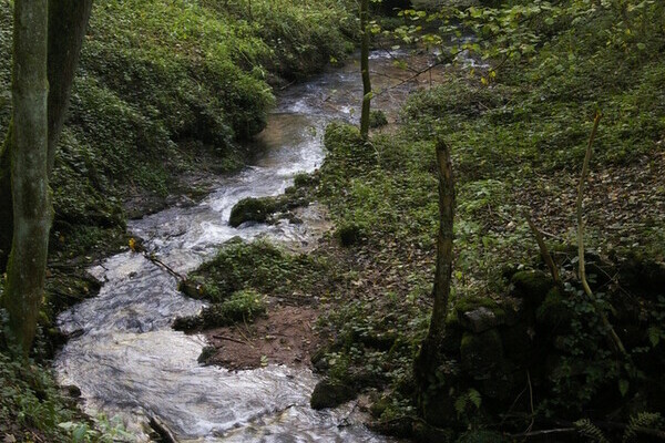 Laufenbach Wasserflle Bildnachweis: Brgermeisteramt Loffenau