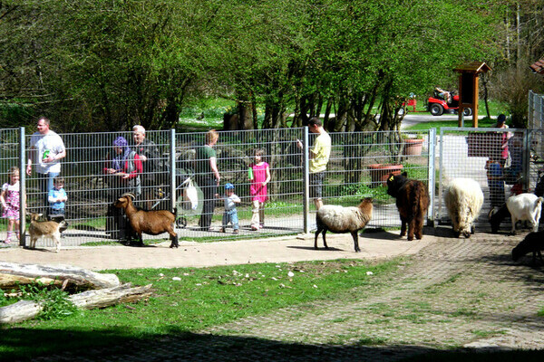  Bildnachweis: Mit freundlicher Genehmigung des Streichelzoos Kappel